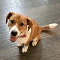 Thumbnail photo of Trevor #2