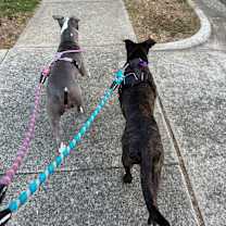 Thumbnail photo of Tuesday #4