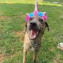 Thumbnail photo of NESSA #3