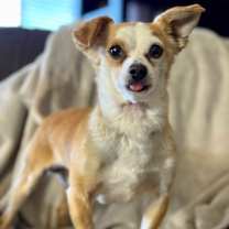 Thumbnail photo of BB #2