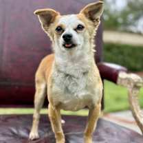 Thumbnail photo of BB #4