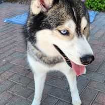 Thumbnail photo of MARKIE #3