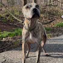 Thumbnail photo of Inara #3