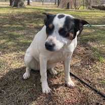 Thumbnail photo of Maggie #2