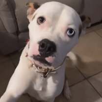 Thumbnail photo of Melly #1