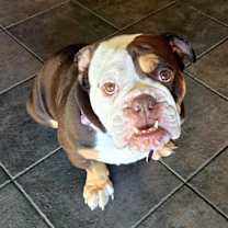 Thumbnail photo of Twixxy #3