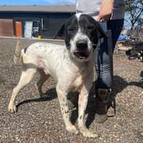 Thumbnail photo of Luigi #2