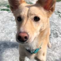 Thumbnail photo of Hope #1