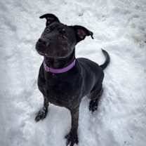 Thumbnail photo of Fiona #3