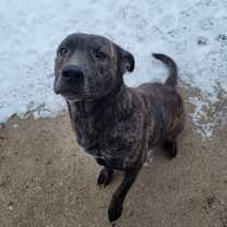 Thumbnail photo of Junior #1