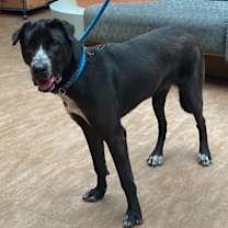 Thumbnail photo of Missy #2