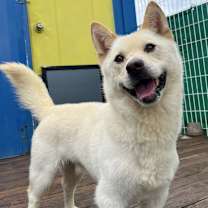 Thumbnail photo of Happy #1
