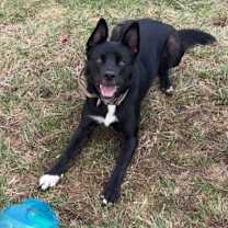 Thumbnail photo of Donny #1