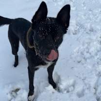 Thumbnail photo of Donny #2