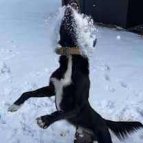 Thumbnail photo of Donny #3