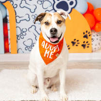 Thumbnail photo of Tater #1