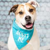 Thumbnail photo of Tater #2