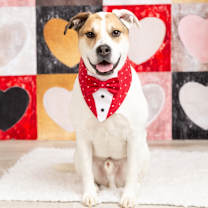 Thumbnail photo of Tater #3