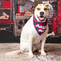 Thumbnail photo of Tater #4