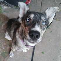 Thumbnail photo of Mila #2