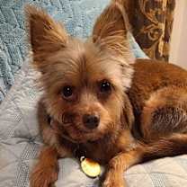 Thumbnail photo of Hannah #1