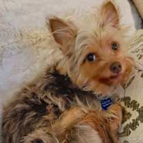 Thumbnail photo of Hannah #2