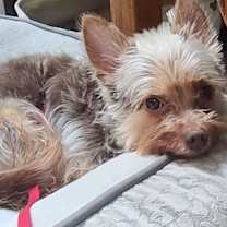 Thumbnail photo of Hannah #3