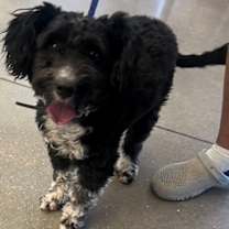 Thumbnail photo of Mike #1