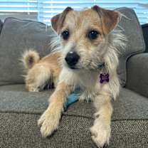 Thumbnail photo of Quentin #1