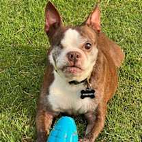 Thumbnail photo of Serena #2