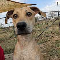 Thumbnail photo of Memphis #3