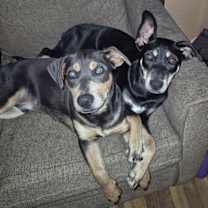 Thumbnail photo of Dot Clarke aka Dip and Dot #2