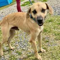 Thumbnail photo of Winston #2