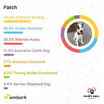 Thumbnail photo of Patch (Courtesy Post) #4