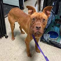 Thumbnail photo of Dirty South #2