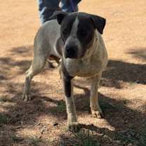 Thumbnail photo of Jace #1