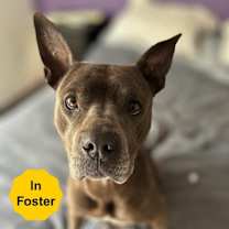 Thumbnail photo of Freya #1