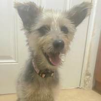 Thumbnail photo of MOUSE MAX #1