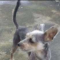 Thumbnail photo of MOUSE MAX #2