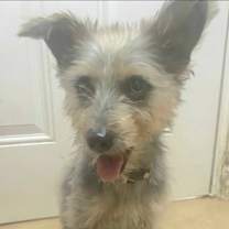 Thumbnail photo of MOUSE MAX #3