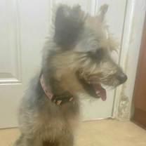 Thumbnail photo of MOUSE MAX #4