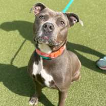 Thumbnail photo of Quinnie Jean #1