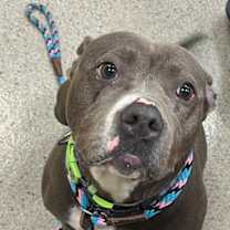 Thumbnail photo of Quinnie Jean #3