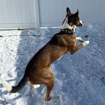 Thumbnail photo of Blue #3