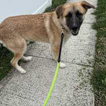 Thumbnail photo of Juke #4