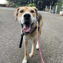 Thumbnail photo of Charlie #1