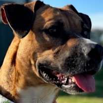 Thumbnail photo of Charity #1