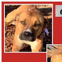 Thumbnail photo of Charity #4