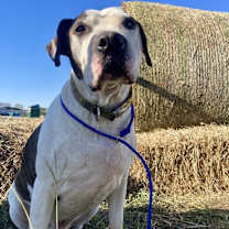 Thumbnail photo of Patrick #2