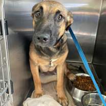 Thumbnail photo of Hermoine #1